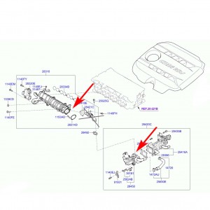 W141 Zaślepki zaworu EGR Hyundai, Kia 1.7CRDI i 1.6CRDI