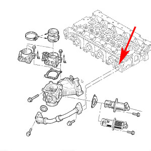 W053 Zaślepka zaworu EGR 8200418428