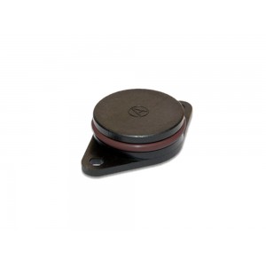 100 sztuk zaślepka kolektora ssącego 33 mm BMW z O-Ringiem z Vitonu (FPM)